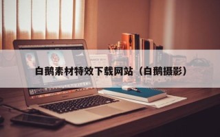 昭通白鹅素材特效下载网站（白鹅摄影）